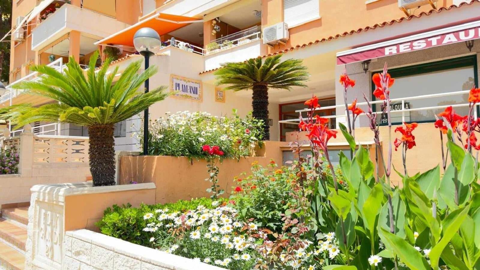 Apartamento Paradise Solo Familias Gandía Εξωτερικό φωτογραφία